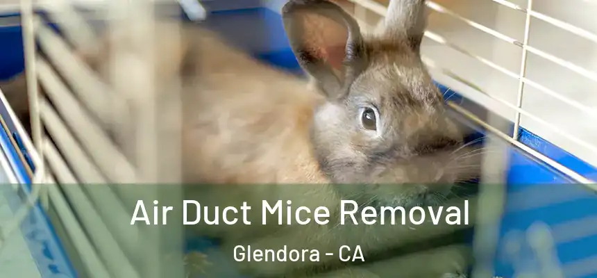 Air Duct Mice Removal Glendora - CA