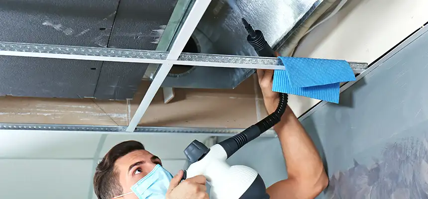 Our Air Duct Rodent Removal Services in Glendora, CA