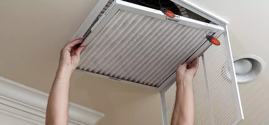 Our Insect Removal from Air Ducts Services in Glendora, CA