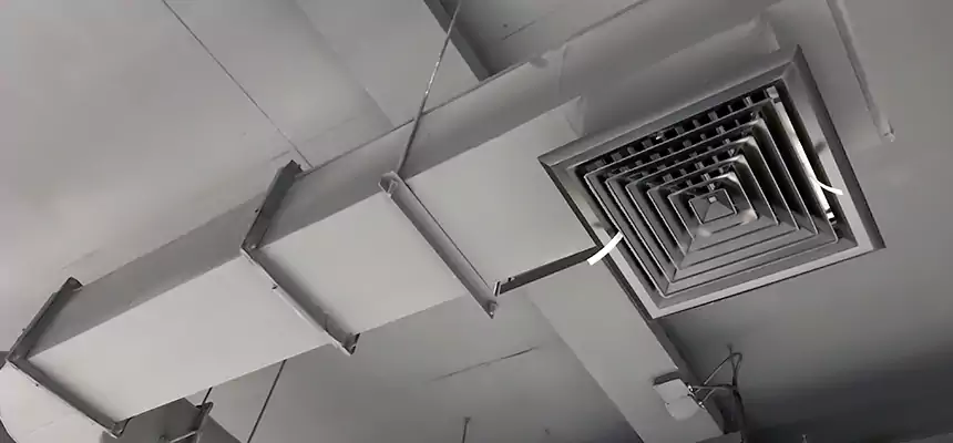 Our Pest Removal From Ducts Services in Glendora, CA