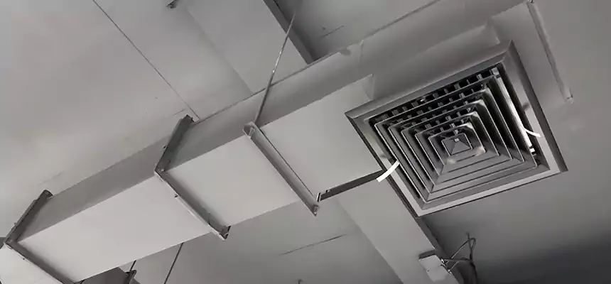 Our Rodent Droppings In Vents Services in Glendora, CA