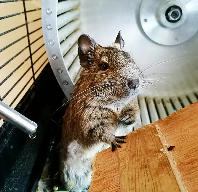 Why Homeowners & Businesses Trust Us Glendora, CA