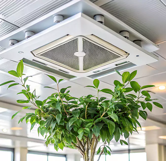 Why Homeowners & Businesses Trust Us in Glendora, CA?