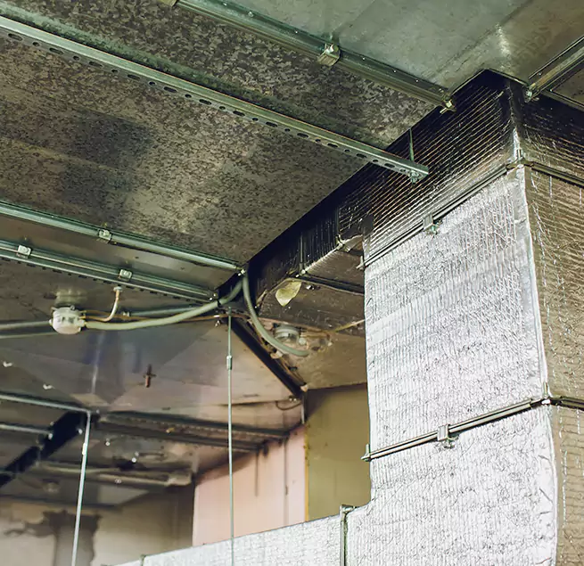 Why Homeowners & Businesses Trust Us in Glendora, CA?